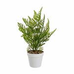Umetna praprot (višina 45 cm) – Casa Selección
