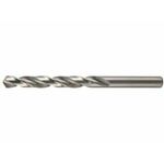 MAKITA HSS-Co sveder za kovino 12,5x151mm D-17516