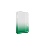 CASE LEDGER FLEX GREEN LEDGER