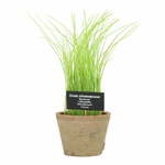 Umetna rastlina (višina 27 cm) Chives – Esschert Design