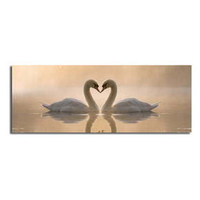 Slika na platnu Swan Love