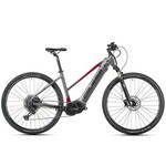 Crussis E-Cross Low 9.10, električno kolo