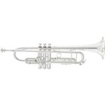 Trobenta 2055T Silver Flair King