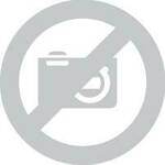 BOSCH Lamelni brus X551, Expert for Metal Professional, 2608607361