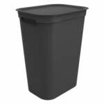 Plastični koš za perilo 50 l Brisen - Rotho