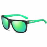 Dubery Newton 7 sončna očala, Black &amp; Green / Green