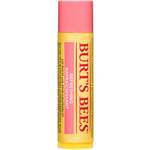 "Burt's Bees Osvežujoč balzam za ustnice pink z granatnim jabolkom - 4,25 g"